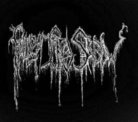 logo Fallen Into Shadow